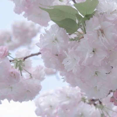 Furry萌系风格设计技巧福瑞交流群